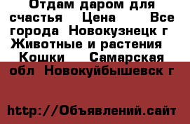 Отдам даром для счастья. › Цена ­ 1 - Все города, Новокузнецк г. Животные и растения » Кошки   . Самарская обл.,Новокуйбышевск г.